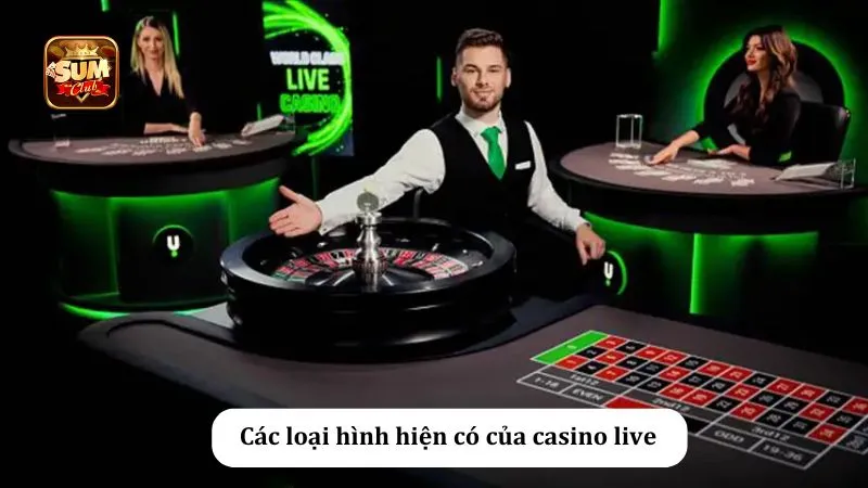 3 loại hình casino phổ biến tại các sòng bài